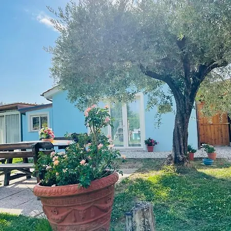 La Rosa Nel Bed & Breakfast *